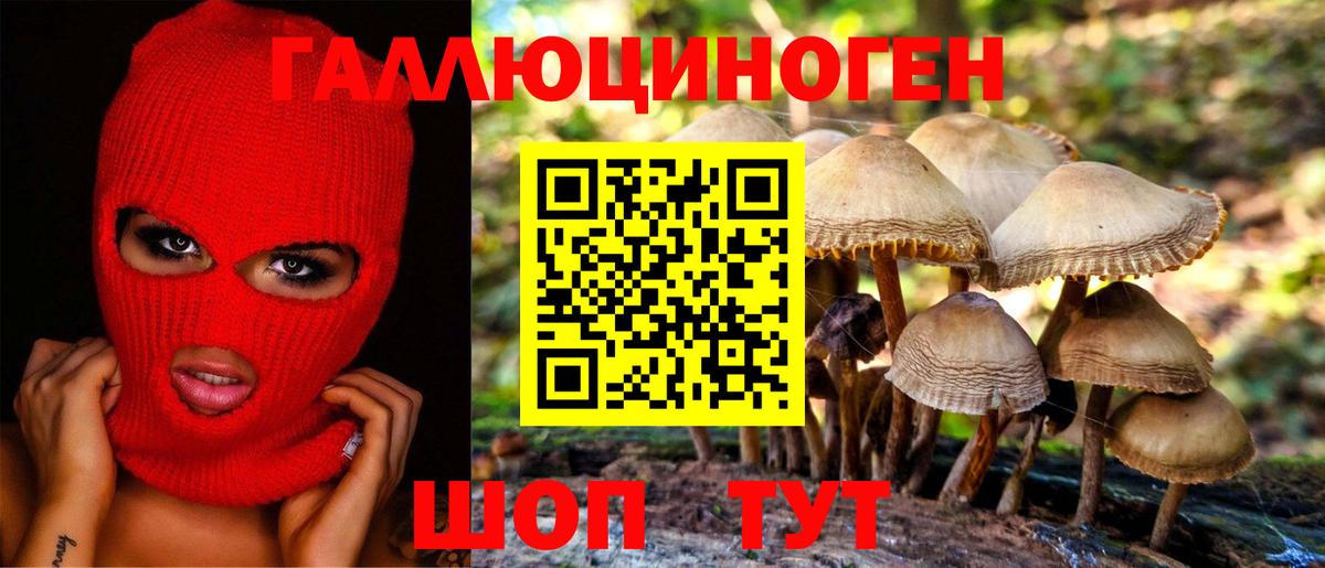 купить наркотик  Вход с VPN  Гусь-Хрустальный  Псилоцибиновые грибы ЛСД 